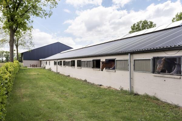 photo 4 Kampsteeg 45