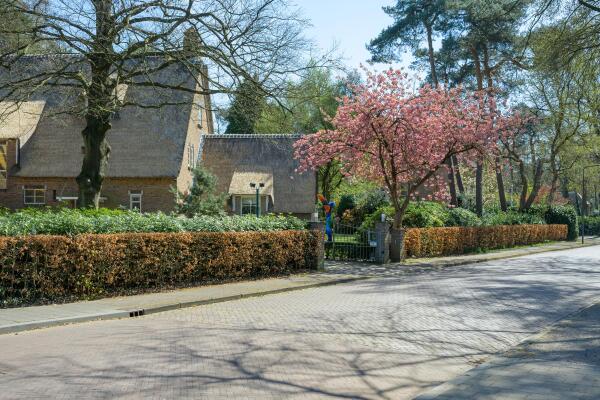 photo 57 Montenspark 1