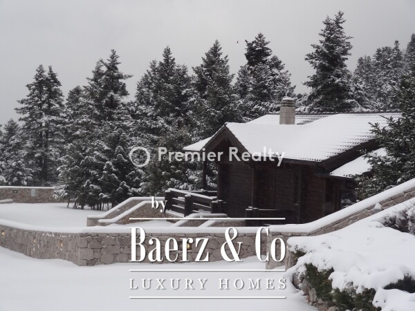 photo 7 950495 - Chalet | Eptalofos, Parnassos, 480 sq.m.