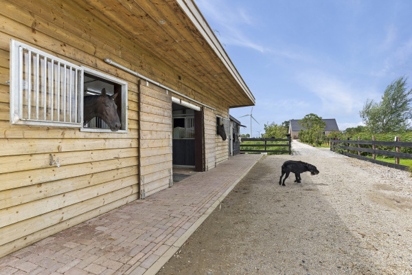 photo 52 Kiesterzijl 56