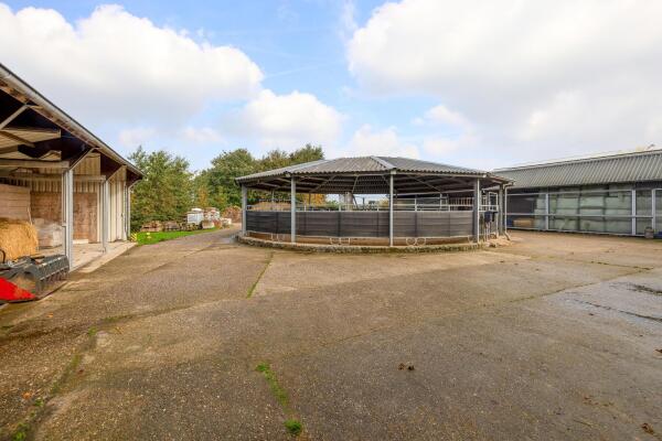 photo 56 Waatselaarstraat 3