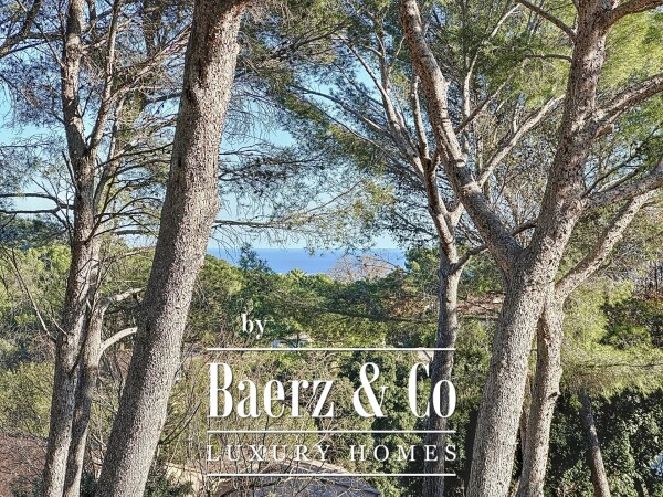 photo 3 Rare Opportunity Near Cannes: Villa to Renovate with Great Potential on a Spacious Green Plot with Pool