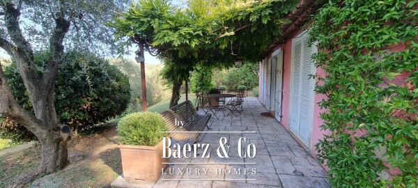 photo 16 Estate - over 6 ha of land with olive trees