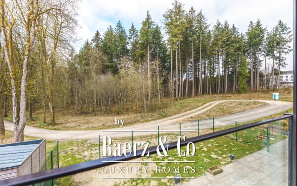 photo 21 Wemperhardt, Weiswampach