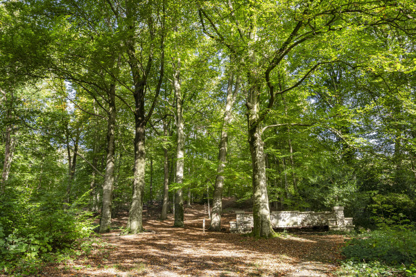 photo 45 Pinkenbergseweg 37