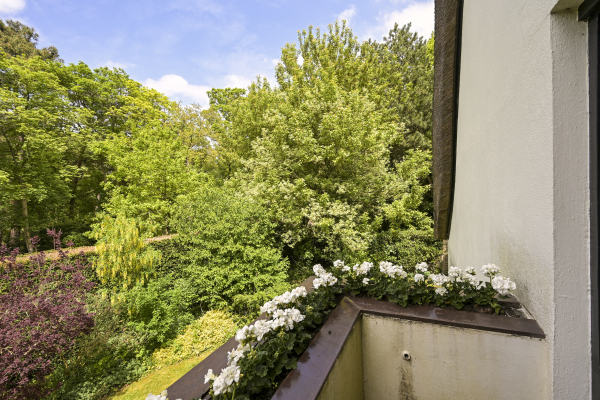 photo 18 Meijendelseweg 10