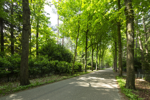 photo 25 Hondsbergselaan 3