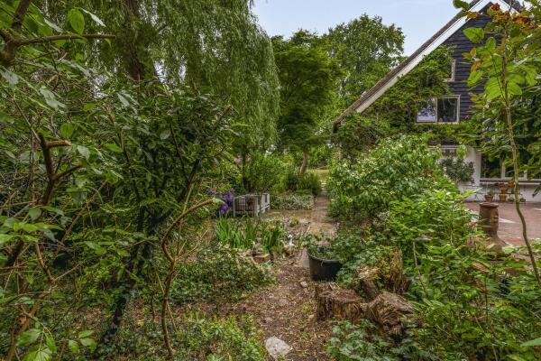 photo 60 IJsseldijk 238