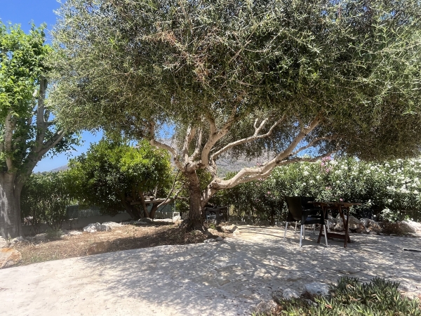 photo 17 Finca MontAzul - Javea, Costa Blanca