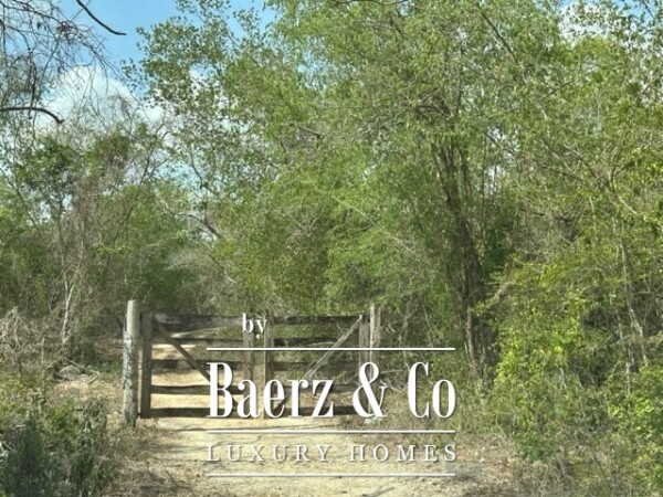 photo 15 Sudzal carretera a Tzalam, Km 7 