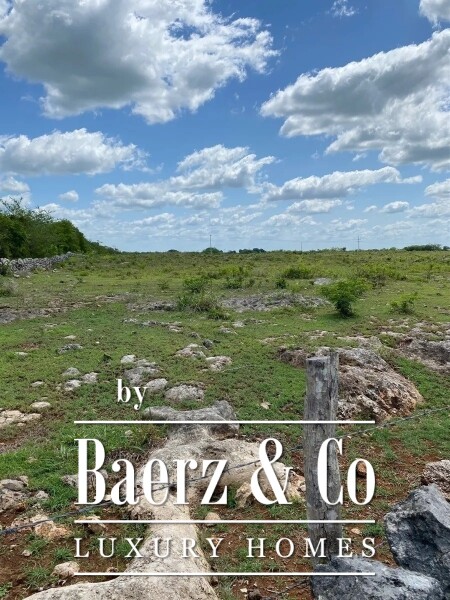 photo 31 Street 24 x 29 