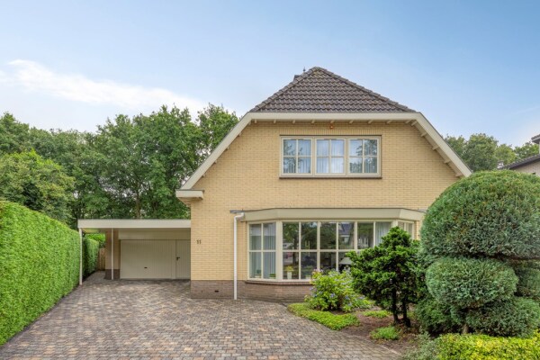 photo 3 Bilzekruid 11