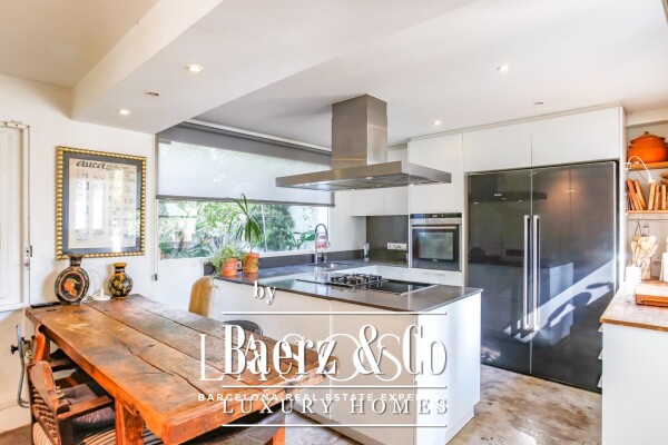 photo 10 Sant Pere de Ribes, Los Viñedos