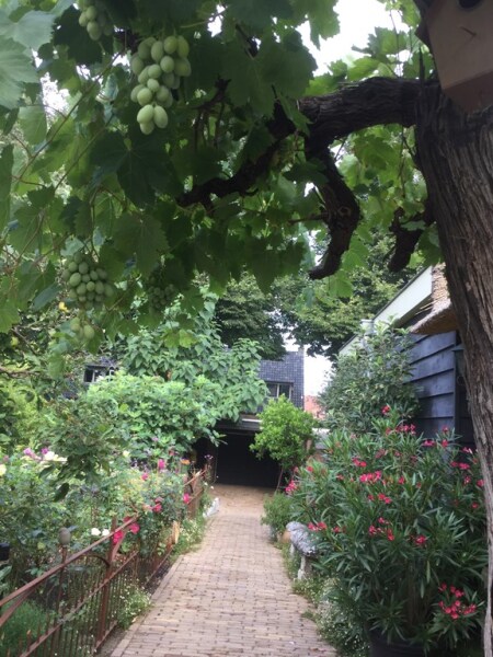 photo 66 Kerkewijk 106