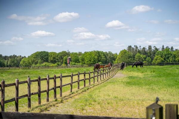 photo 55 Kapelstraat 12 14