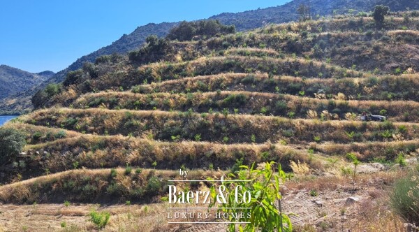 photo 19 Douro Riverfront Almond Estate