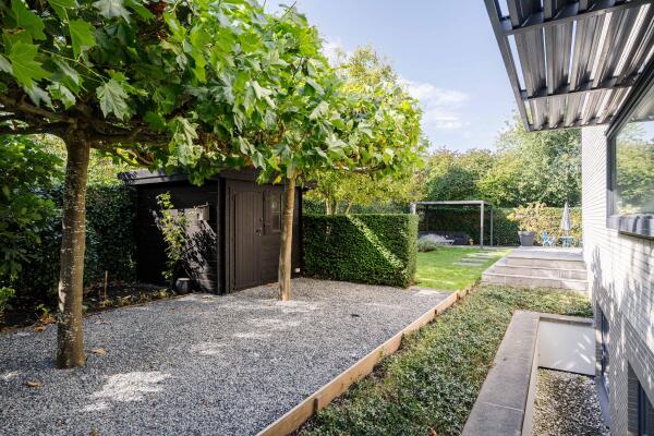 photo 82 De Schulp 9