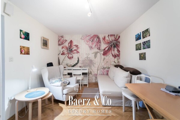 photo 17 Zagreb Mlinarska luxury renovated house, apartment on a plot of 350 m²