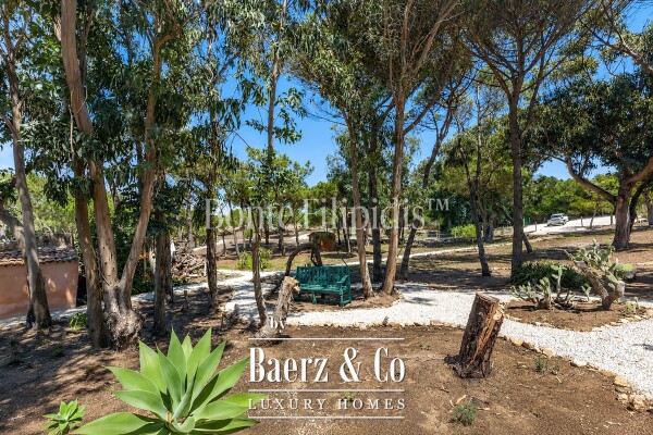 photo 18 Beautiful luxury home in Colares, Azoia