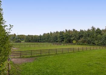 SCHIJNDEL
