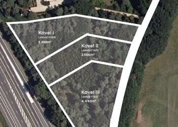 LEENDE
